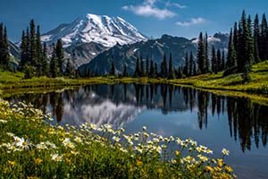 Mount Rainier National Park